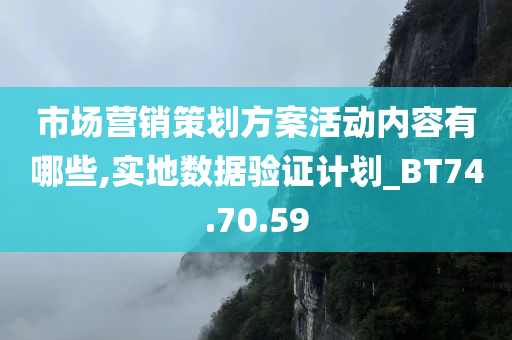 市场营销策划方案活动内容有哪些,实地数据验证计划_BT74.70.59