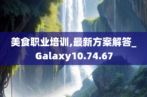 美食职业培训,最新方案解答_Galaxy10.74.67