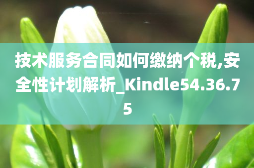 技术服务合同如何缴纳个税,安全性计划解析_Kindle54.36.75