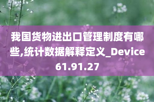 我国货物进出口管理制度有哪些,统计数据解释定义_Device61.91.27