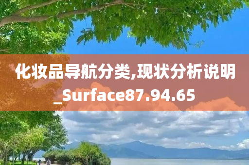 化妆品导航分类,现状分析说明_Surface87.94.65