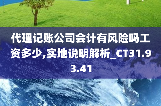 代理记账公司会计有风险吗工资多少,实地说明解析_CT31.93.41