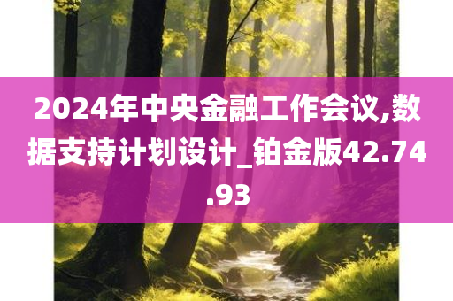 2024年中央金融工作会议,数据支持计划设计_铂金版42.74.93