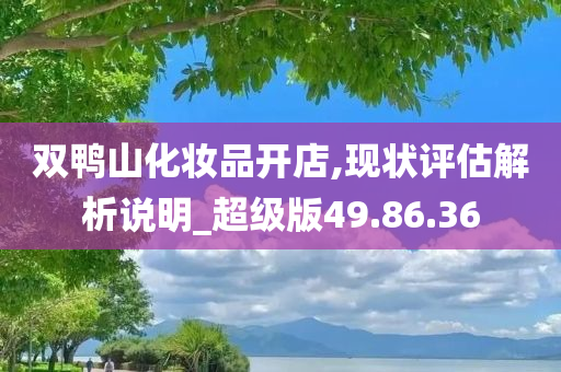 双鸭山化妆品开店,现状评估解析说明_超级版49.86.36