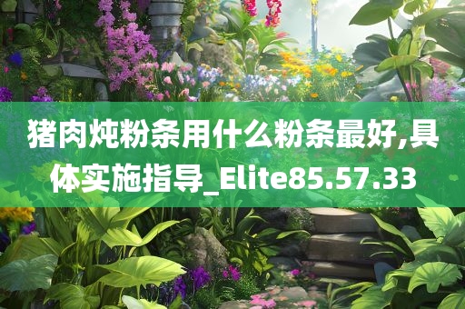 猪肉炖粉条用什么粉条最好,具体实施指导_Elite85.57.33