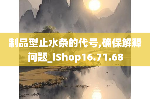 制品型止水条的代号,确保解释问题_iShop16.71.68