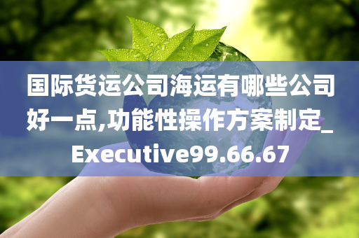 国际货运公司海运有哪些公司好一点,功能性操作方案制定_Executive99.66.67