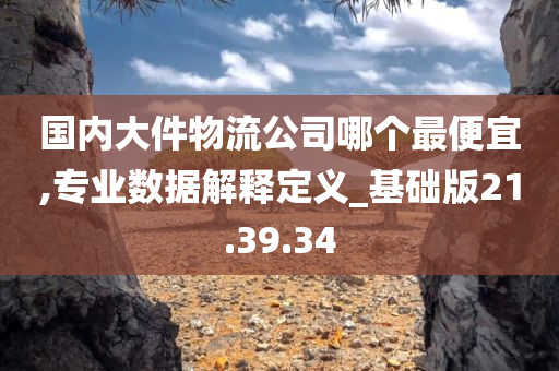 国内大件物流公司哪个最便宜,专业数据解释定义_基础版21.39.34