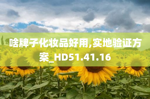 啥牌子化妆品好用,实地验证方案_HD51.41.16