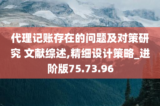 代理记账存在的问题及对策研究 文献综述,精细设计策略_进阶版75.73.96