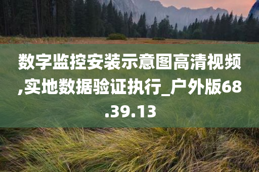 数字监控安装示意图高清视频,实地数据验证执行_户外版68.39.13