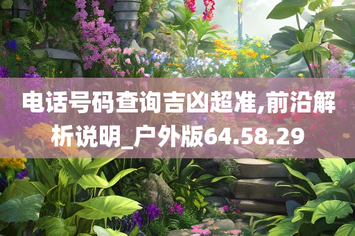 电话号码查询吉凶超准,前沿解析说明_户外版64.58.29