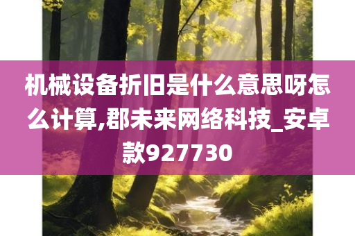 机械设备折旧是什么意思呀怎么计算,郡未来网络科技_安卓款927730