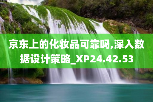 京东上的化妆品可靠吗,深入数据设计策略_XP24.42.53