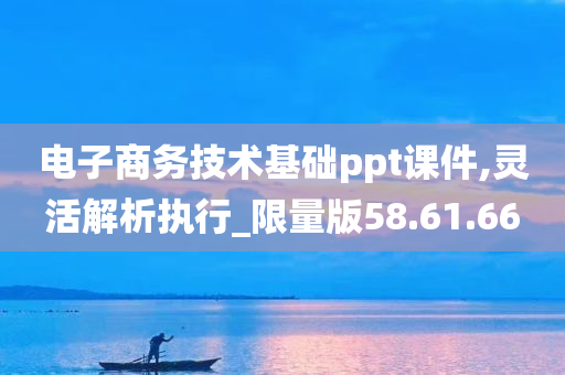 电子商务技术基础ppt课件,灵活解析执行_限量版58.61.66