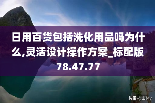 日用百货包括洗化用品吗为什么,灵活设计操作方案_标配版78.47.77