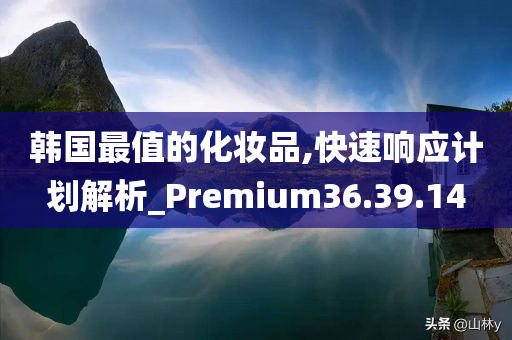 韩国最值的化妆品,快速响应计划解析_Premium36.39.14