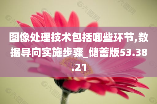 图像处理技术包括哪些环节,数据导向实施步骤_储蓄版53.38.21