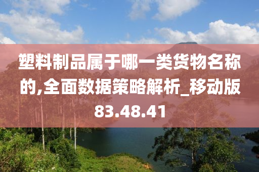 塑料制品属于哪一类货物名称的,全面数据策略解析_移动版83.48.41