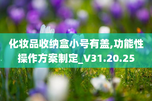 化妆品收纳盒小号有盖,功能性操作方案制定_V31.20.25