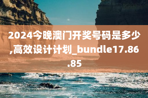 2024今晚澳门开奖号码是多少,高效设计计划_bundle17.86.85