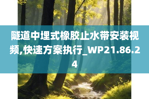 隧道中埋式橡胶止水带安装视频,快速方案执行_WP21.86.24