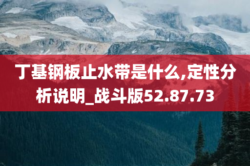 丁基钢板止水带是什么,定性分析说明_战斗版52.87.73