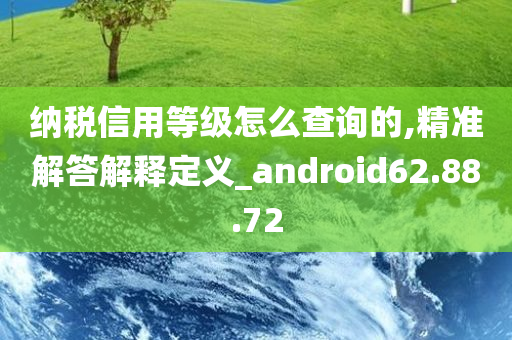 纳税信用等级怎么查询的,精准解答解释定义_android62.88.72