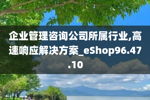 企业管理咨询公司所属行业,高速响应解决方案_eShop96.47.10