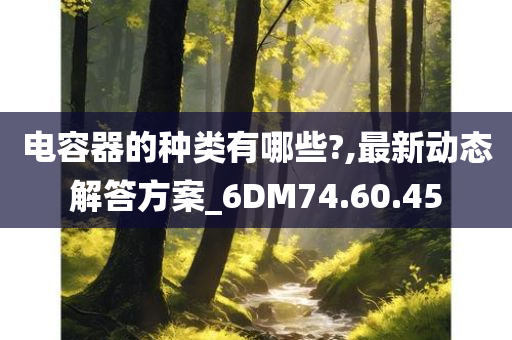 电容器的种类有哪些?,最新动态解答方案_6DM74.60.45