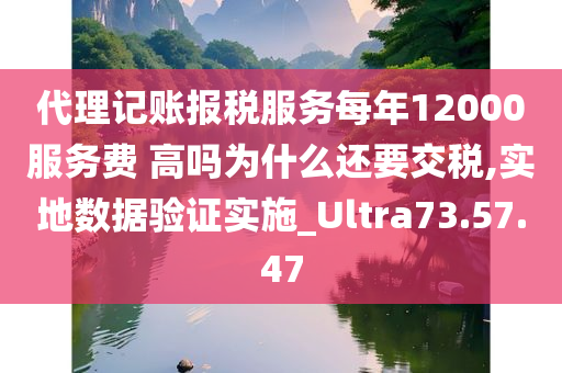 代理记账报税服务每年12000服务费 高吗为什么还要交税,实地数据验证实施_Ultra73.57.47