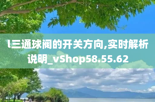 l三通球阀的开关方向,实时解析说明_vShop58.55.62