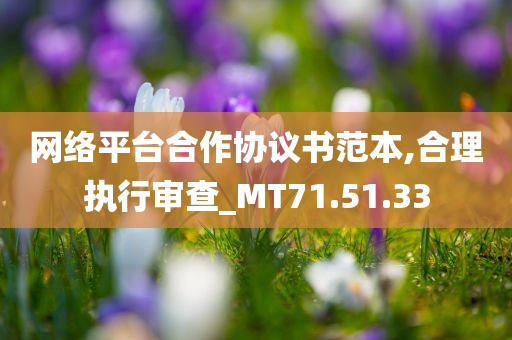 网络平台合作协议书范本,合理执行审查_MT71.51.33