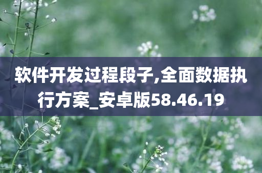 软件开发过程段子,全面数据执行方案_安卓版58.46.19