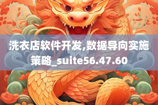 洗衣店软件开发,数据导向实施策略_suite56.47.60