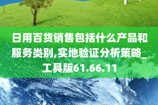 日用百货销售包括什么产品和服务类别,实地验证分析策略_工具版61.66.11