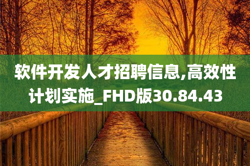 软件开发人才招聘信息,高效性计划实施_FHD版30.84.43