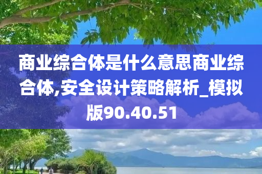 商业综合体是什么意思商业综合体,安全设计策略解析_模拟版90.40.51