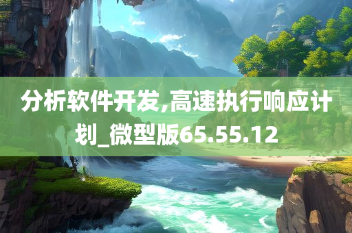 分析软件开发,高速执行响应计划_微型版65.55.12