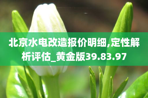 北京水电改造报价明细,定性解析评估_黄金版39.83.97