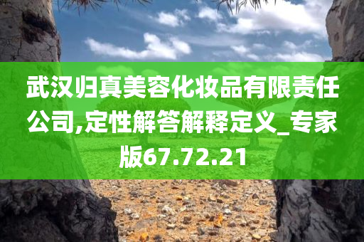 武汉归真美容化妆品有限责任公司,定性解答解释定义_专家版67.72.21