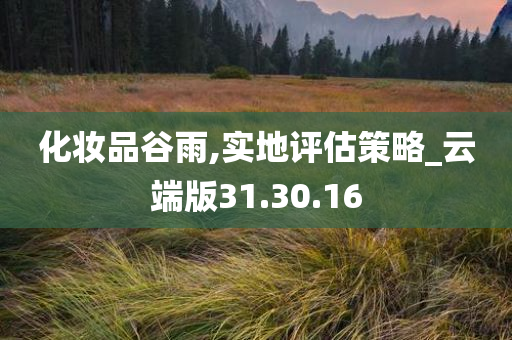 化妆品谷雨,实地评估策略_云端版31.30.16