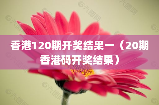 香港120期开奖结果一（20期香港码开奖结果）