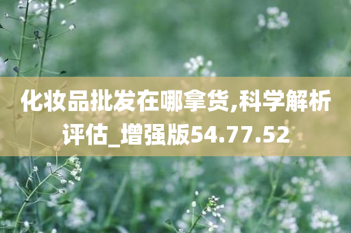 化妆品批发在哪拿货,科学解析评估_增强版54.77.52