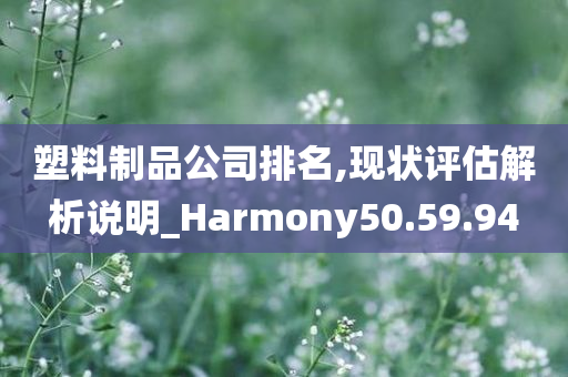 塑料制品公司排名,现状评估解析说明_Harmony50.59.94