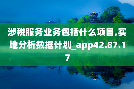 涉税服务业务包括什么项目,实地分析数据计划_app42.87.17