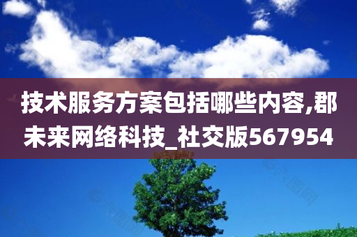 技术服务方案包括哪些内容,郡未来网络科技_社交版567954