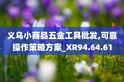 义乌小商品五金工具批发,可靠操作策略方案_XR94.64.61