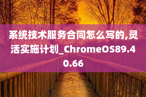 系统技术服务合同怎么写的,灵活实施计划_ChromeOS89.40.66