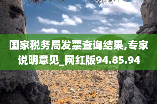 国家税务局发票查询结果,专家说明意见_网红版94.85.94